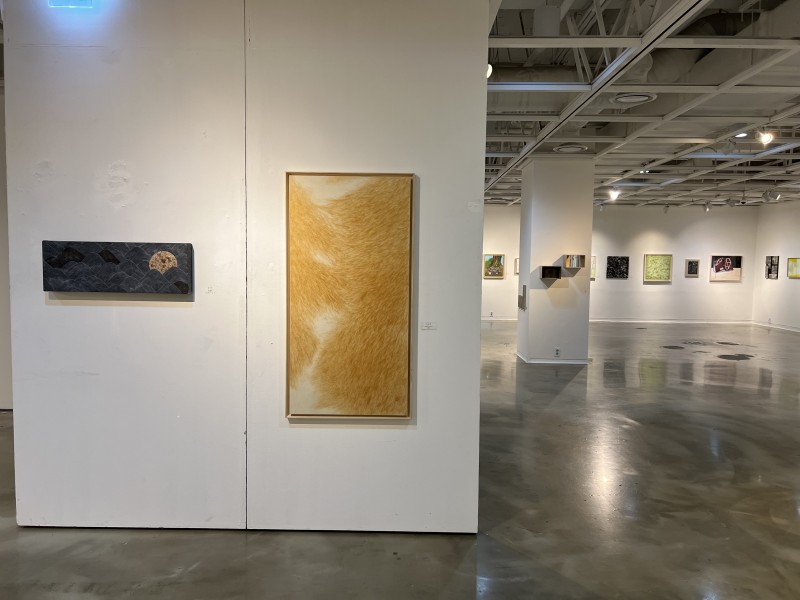 0279e7f2e3d4d23561e8420bc508550d_1729335